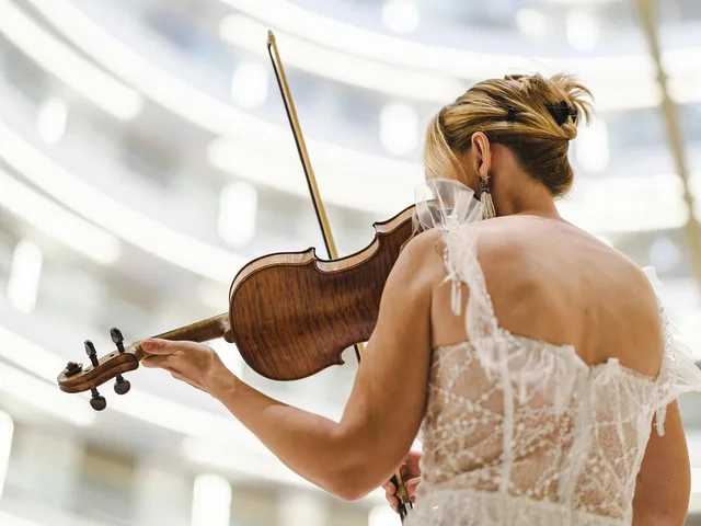 violin, violinist, musician, instrument, music, art, artist, talent, scene, concert, portrait, beautiful, woman, musical, sound, sound, sound, sound, sound, sound. Run talent agencies competitor research without misleading yourself